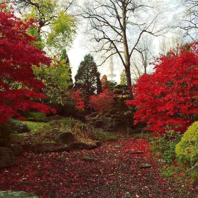 tradizioni autunnali foglie autunno parco planten un blomen hamburg amburgo